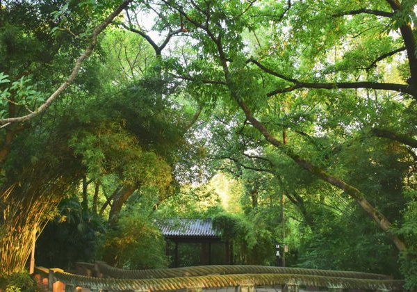 Чунцин: Скайуок, бомбоубежища, скрытые переулки и старинная чайная - фото 3
