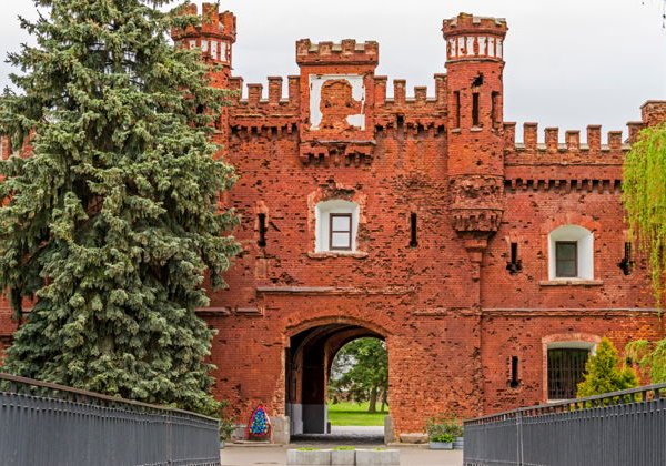 Индивидуальный трансфер из Беловежской пущи в Брест на микроавтобусе - фото 4