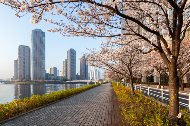 Фото - экскурсия: Исследуйте Токио на электрическом велосипеде