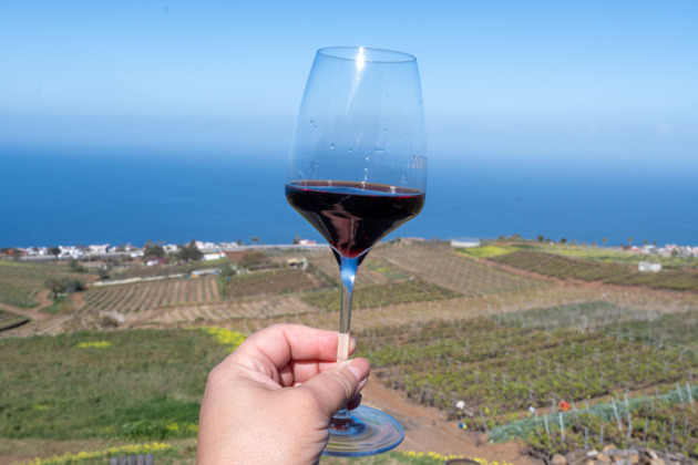 Фото - экскурсия: Винодельня Эль-Саусаль и мастер-класс по соусу мохо для знакомства с канарскими вкусами