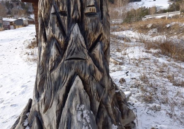 Лучшие маршруты Алтая на выбор: Чемал/Чуйский тракт/Белокуриха - фото 4