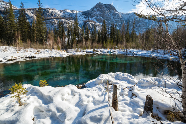 Фото - экскурсия: Подбери идеальный маршрут по Алтаю: Чемал, Чуйский тракт или Белокуриха