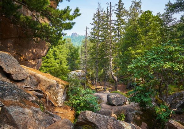 Уникальная групповая экскурсия на Столбы с заездом до скал - фото 1