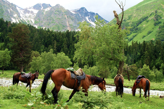 Отправляйтесь в живописное ущелье Адыр-Су к сакральным местам горы Уллу-Тау в небольшой группе