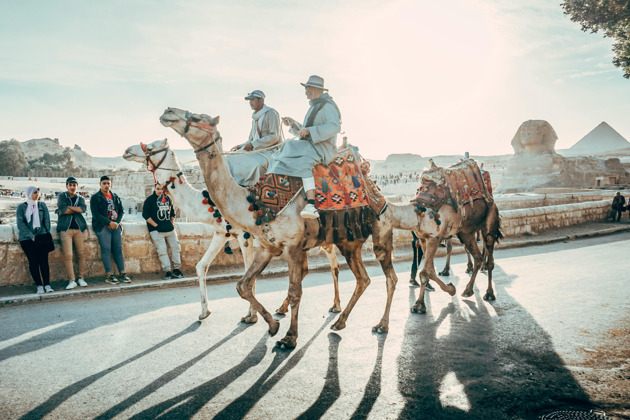 Фото - экскурсия: Три столицы пирамид: от величия Гизы и Саккара до тайн Дахшура
