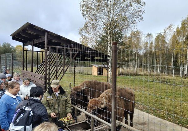 Смоленское Поозерье: в гости к зубрам Месябру и Меледи - фото 3