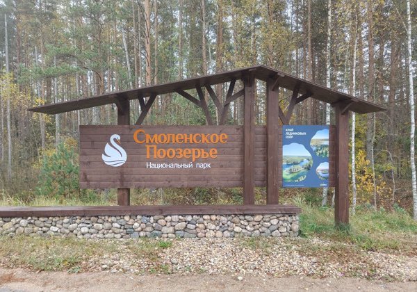Смоленское Поозерье: в гости к зубрам Месябру и Меледи