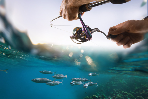 Фото - экскурсия: Рыбалка в Хургаде со снорклингом и вкусным обедом