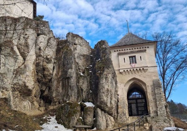 Окрестности Кракова - средневековые замки, Ойцовский парк, форель на гриле. - фото 3
