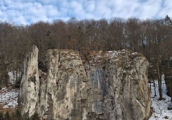 Окрестности Кракова - средневековые замки, Ойцовский парк, форель на гриле. - фото 4
