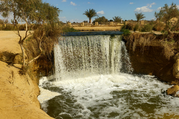 Путешествие в оазис Эль-Файюм и Долину китов