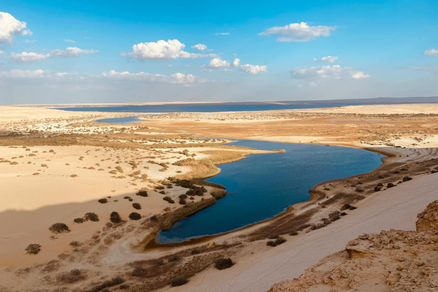 Фото - экскурсия: Волшебство пустыни: оазис Эль-Файюм и сафари на джипах