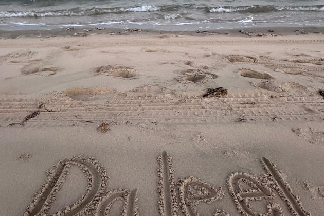 Фото экскурсии - Сафари-тур по барханам у моря - 11