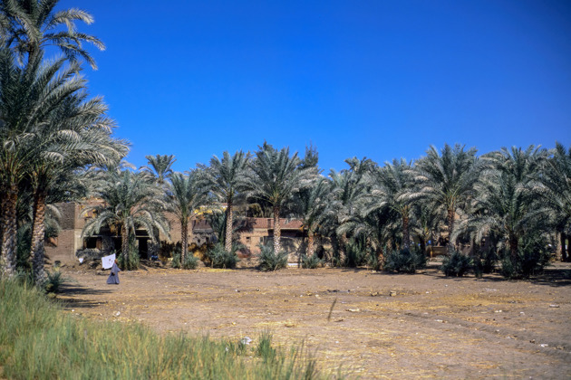 Фото - экскурсия: Волшебный Каир: пирамиды, музей и подлинная деревня