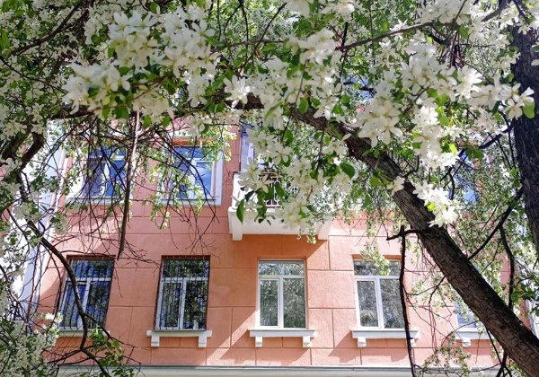 Миры и дворы Уралмаша
