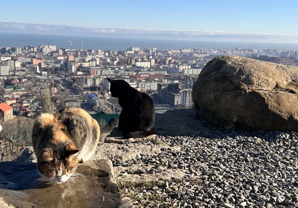 «Солнце, море, город»: ваш идеальный день в Махачкале - фото 1