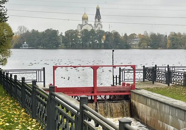 В курортный район Санкт-Петербурга на автомобиле