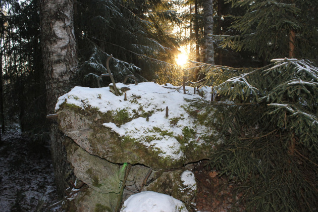 Фото - экскурсия: Доты-миллионеры на линии Маннергейма в деревне Сумма