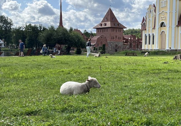 Экскурсия по парку истории «Сула»: путешествие сквозь эпохи - фото 1