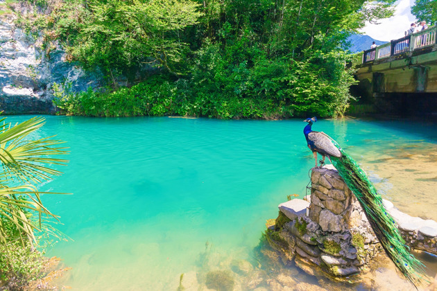 Фото - экскурсия: Абхазия в миниатюре: Гагра, Рица и Пицунда либо Новый Афон по желанию
