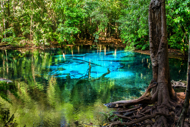 Волшебство Краби: изумрудное озеро, пещеры и храм «Пещера Тигра»