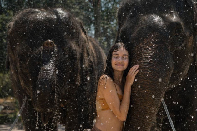 От пляжа со слонами до расслабляющего спа: день впечатлений на Пхукете