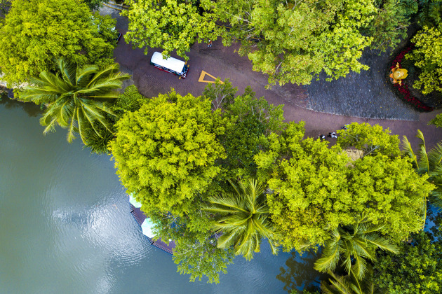 Фото - экскурсия: Путешествие по тропической Яноде: водопады и джунгли