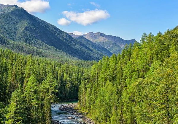 Аршан и источники Тункинской долины - фото 1