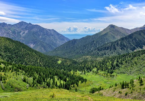 Аршан и источники Тункинской долины - фото 4