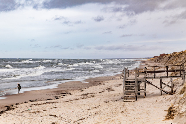 Фото - экскурсия: Куршская коса с Танцующим лесом и сыроварней или станцией Фрингилла на выбор