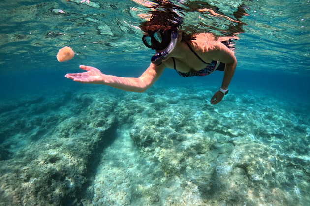 Фото - экскурсия: Морские сокровища Нячанга: коралловые сады, пляжный пикник и спа-процедуры