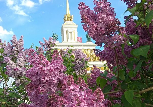 ВДНХ — город счастья. Триумф, величие, архитектура - фото 4