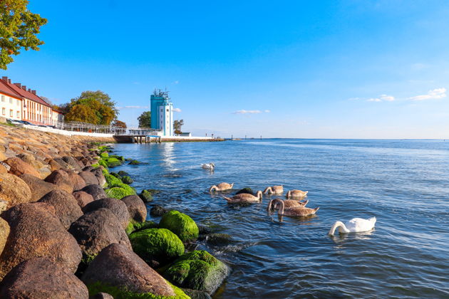 По морским просторам на катере из Балтийска-1