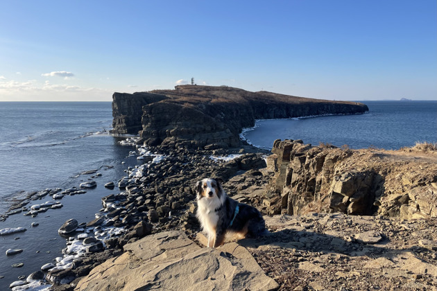 Прогулка по Русскому острову и мысу Тобизина с пушистым проводником
