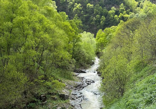 Горная Долина нарзанов и ущелье Хасаут