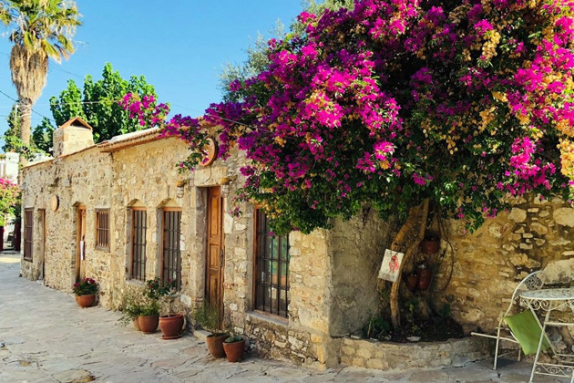 Фото - экскурсия: Датча — кусочек эгейской сказки из Мармариса