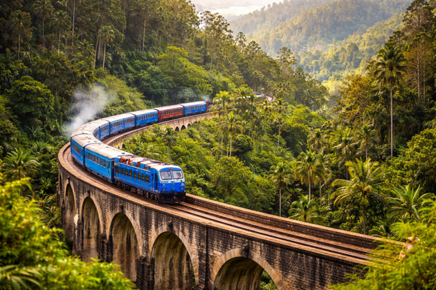 Фото - экскурсия: Путешествие по живописным уголкам Шри-Ланки к Южному побережью