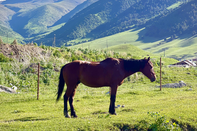 Фото - экскурсия: Эксклюзивное путешествие по Кыргызстану: горные пейзажи, голубые озера и национальная кухня