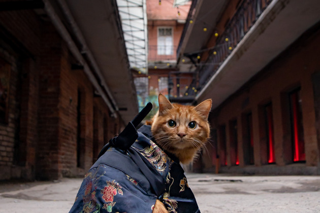 Фото - экскурсия: Прогулка по Миллионке: погружение в историю