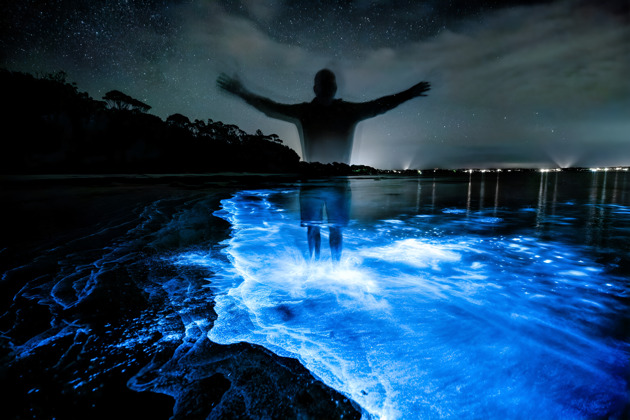 Фото - экскурсия: Белый храм, Стеклянный мост и бухта Джеймса Бонда: места, где светится море