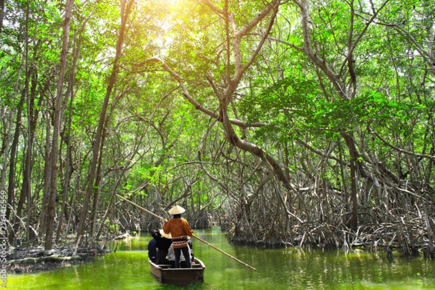 Фото - экскурсия: Удивительная Пханг Нга: Слоны и панорамы залива