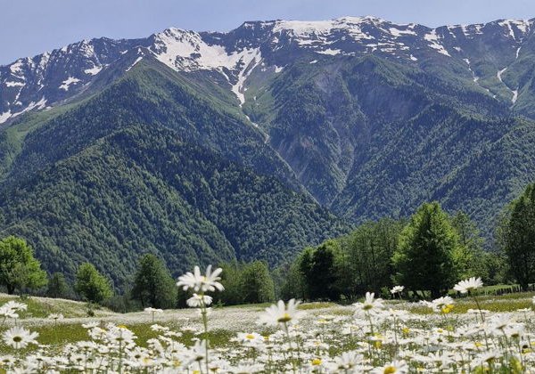 Горная Аджария: водопады, крепости и настоящее застолье - фото 1