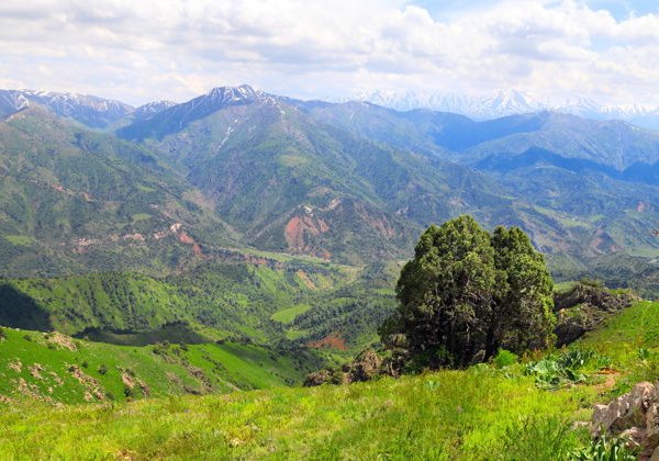Экскурсия в живописные горы Чимгана и к водохранилищу Чарвак - фото 3