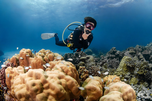 Фото - экскурсия: Погружение в дайвинг на Фукуоке с обучением и обедом