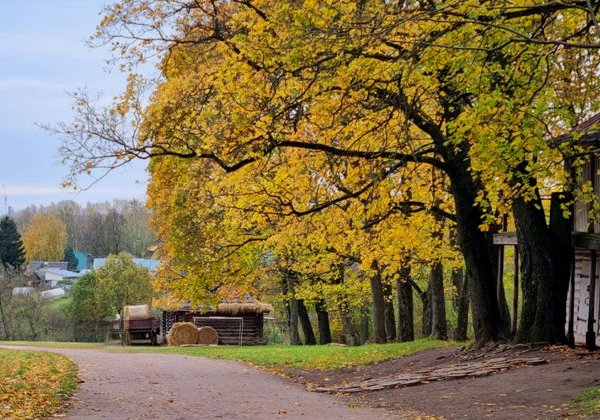 По дорогам Льва Толстого — автобусная экскурсия по Тульской области - фото 3
