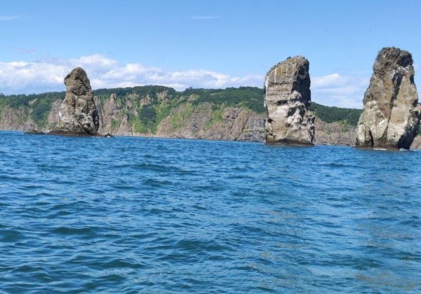 Морская рыбалка в Тихом океане на быстроходном катере - фото 4