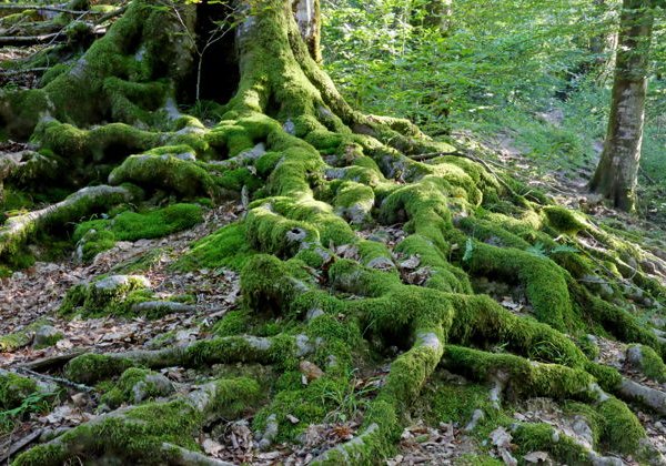 Хайкинг по долине Кутарки - фото 1