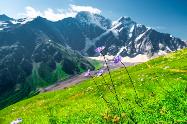 Фото - экскурсия: Волшебный мир Приэльбрусья: озеро Гижгит, вершина Эльбруса, ущелье Адыр-Су и Поляна Нарзанов