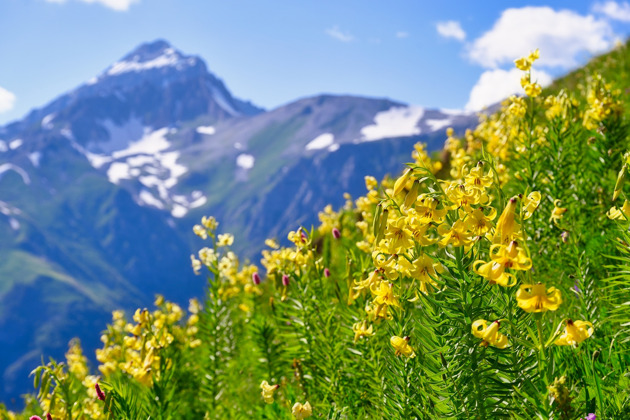 Фото - экскурсия: Волшебный Домбай: перевал Гумбаши, Шоанинский храм и озеро Кара-Кель