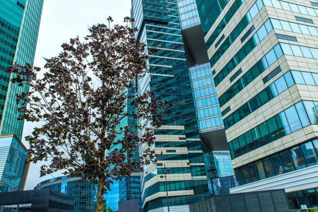 Деловая прогулка по небоскребам Москва-Сити